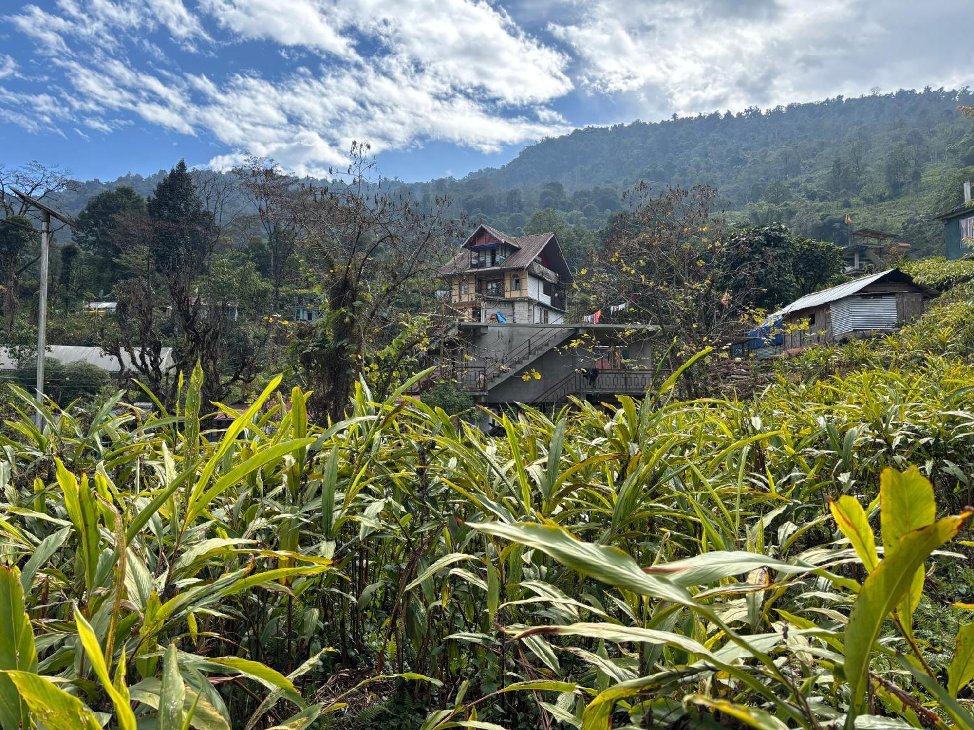 ペリングOdyssey'S Darap Eco Retreatアパートメント エクステリア 写真