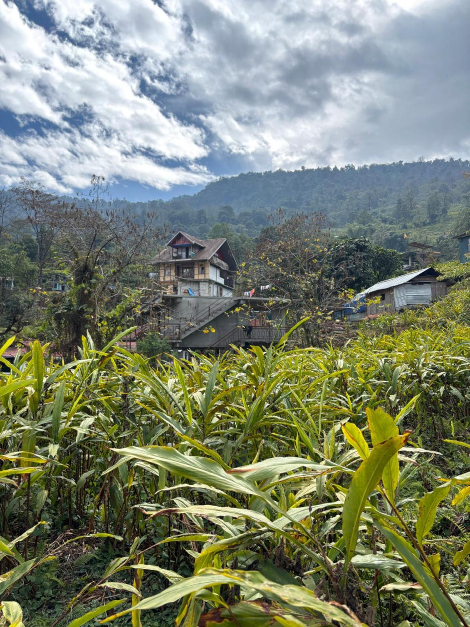 ペリングOdyssey'S Darap Eco Retreatアパートメント エクステリア 写真