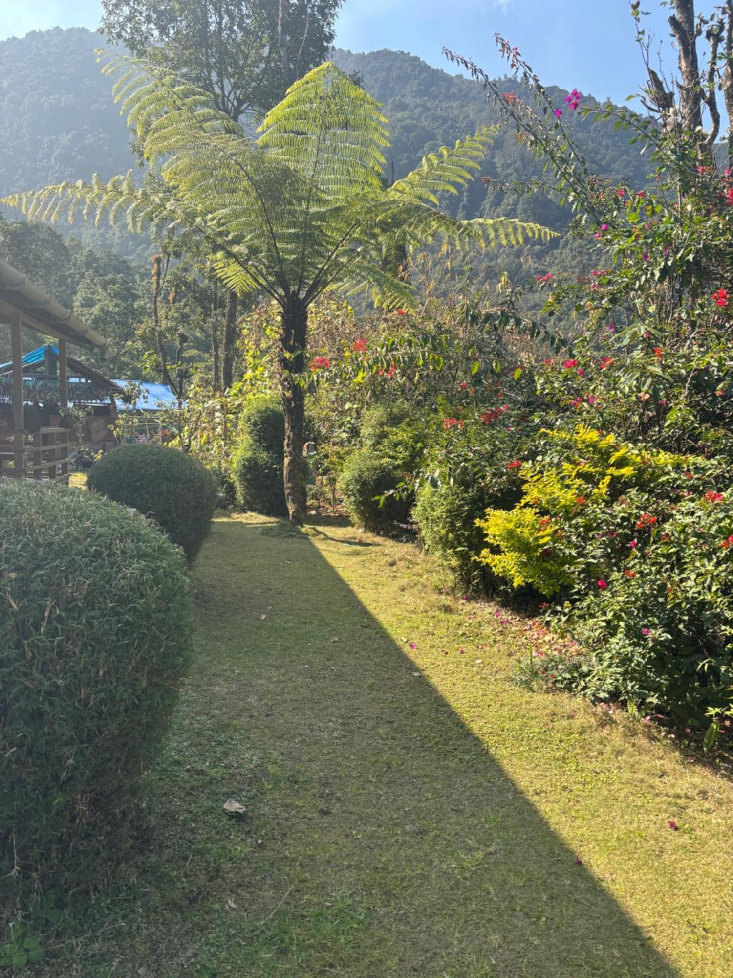 ペリングOdyssey'S Darap Eco Retreatアパートメント エクステリア 写真